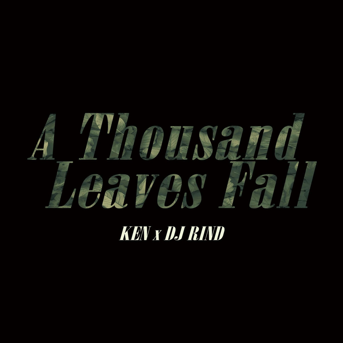 SHAMO – A Thousand Leaves Fall (2026 CD, EELR-35, EEL RECORD)