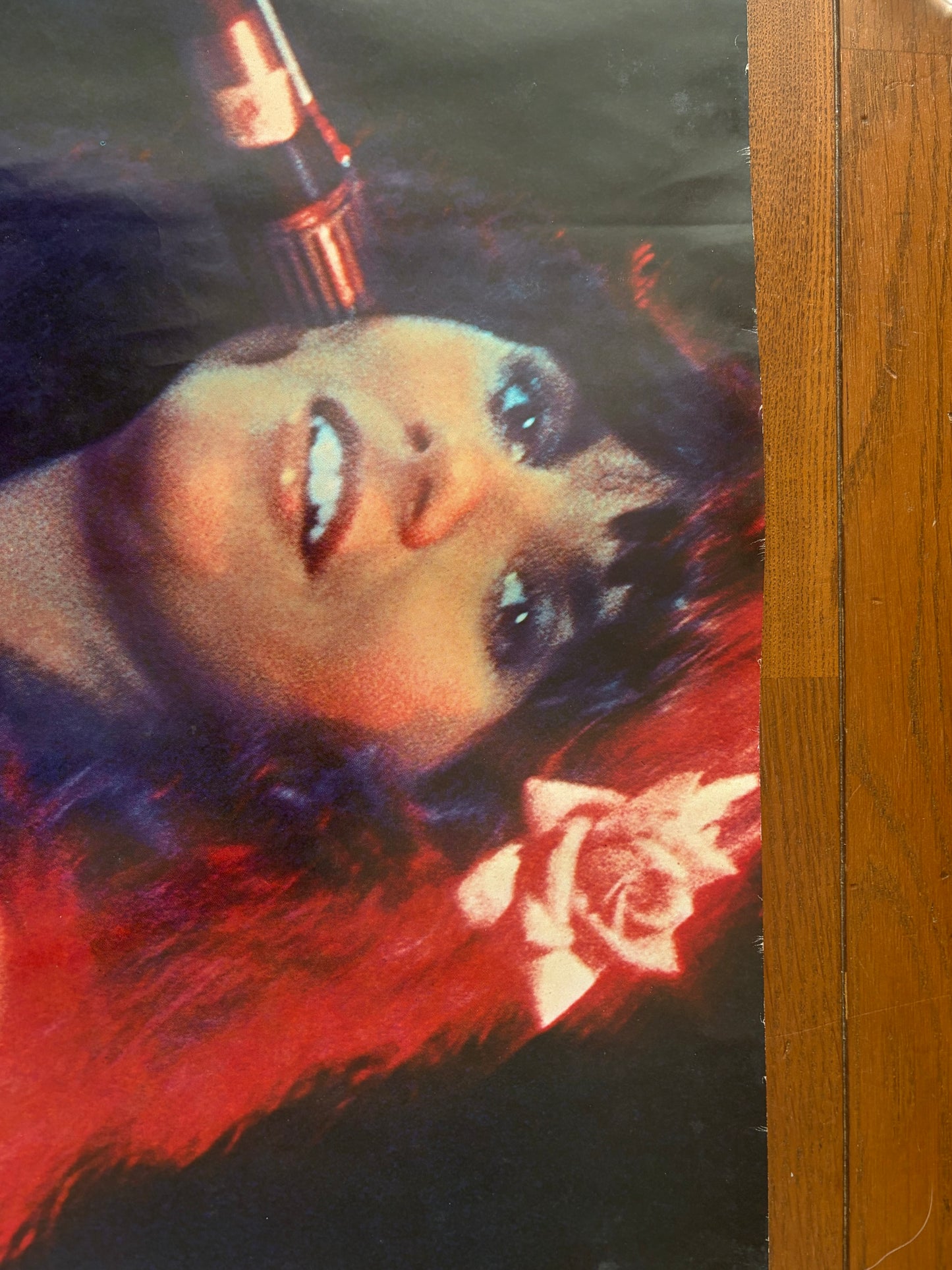 Linda Ronstadt 1977 Original Promo Poster Asylum Records Warner Pioneer A1 Size Vintage Official