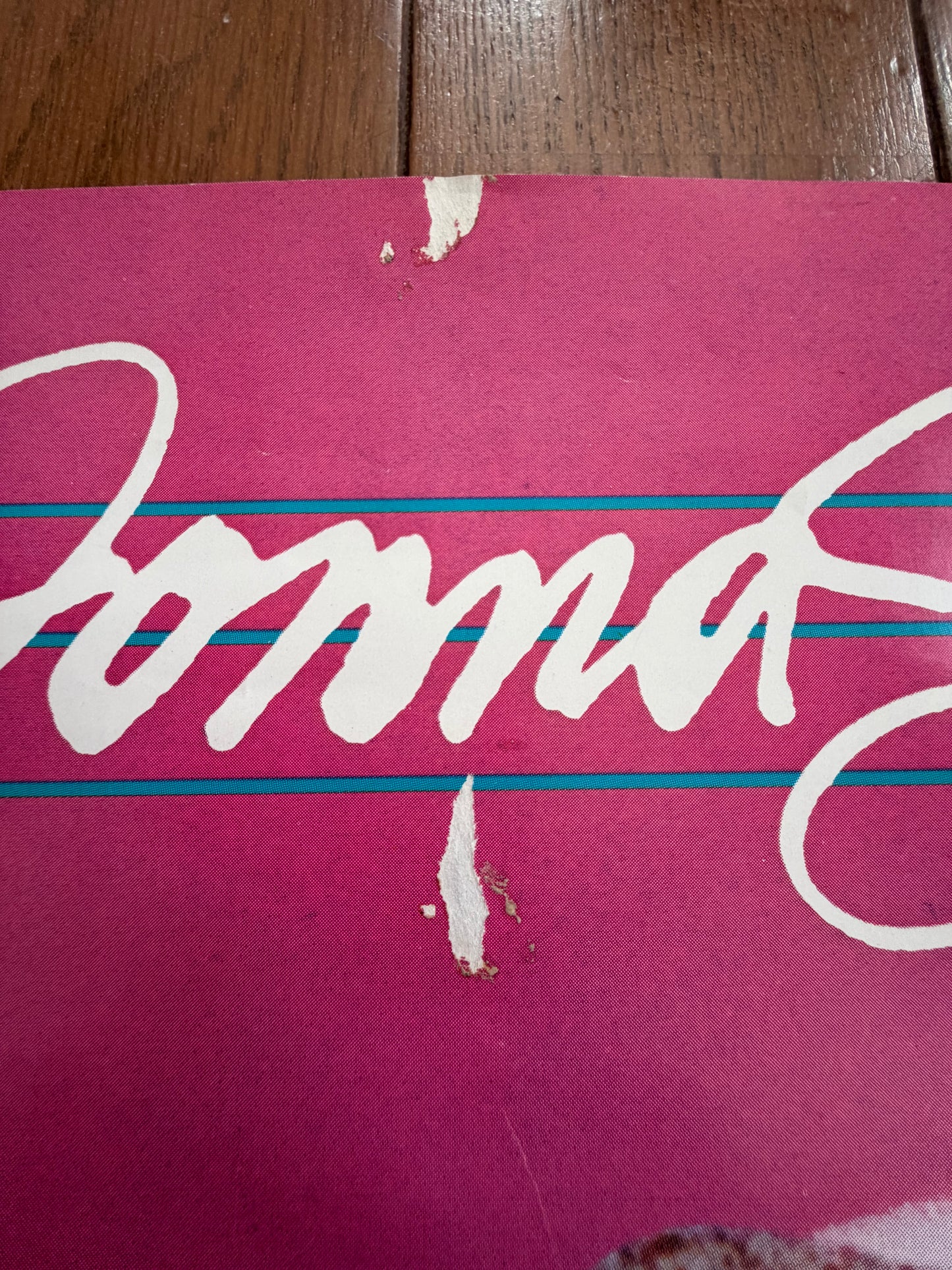 Donna Summer The Wanderer 1980 Promo Poster Japan Geffen Records Vintage Promotional Memorabilia