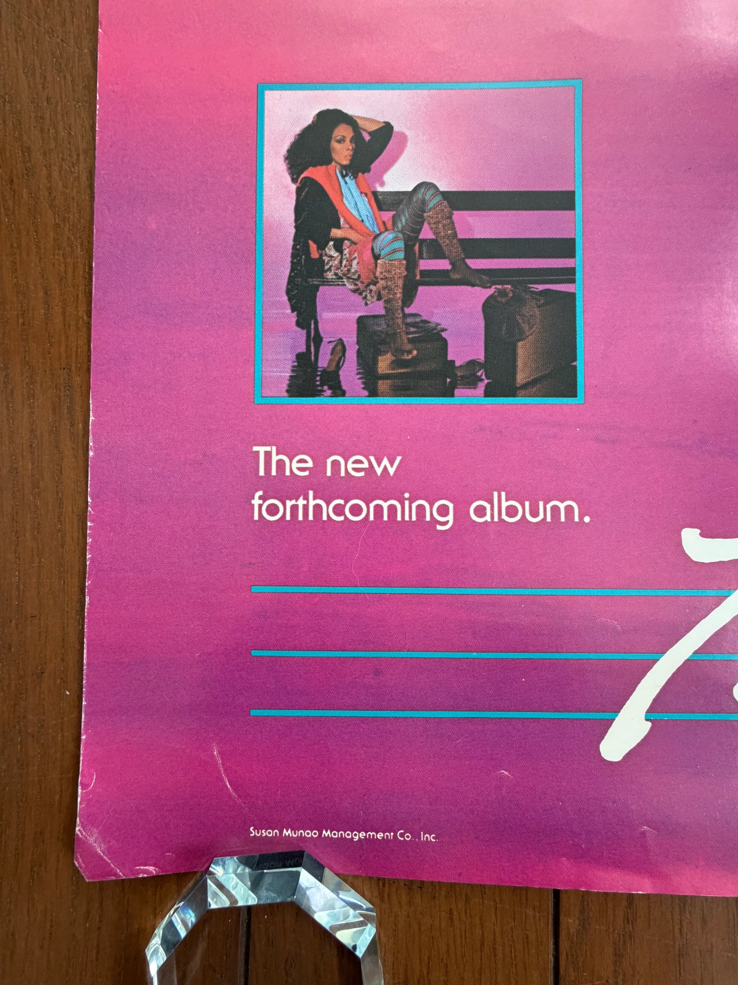 Donna Summer The Wanderer 1980 Promo Poster Japan Geffen Records Vintage Promotional Memorabilia