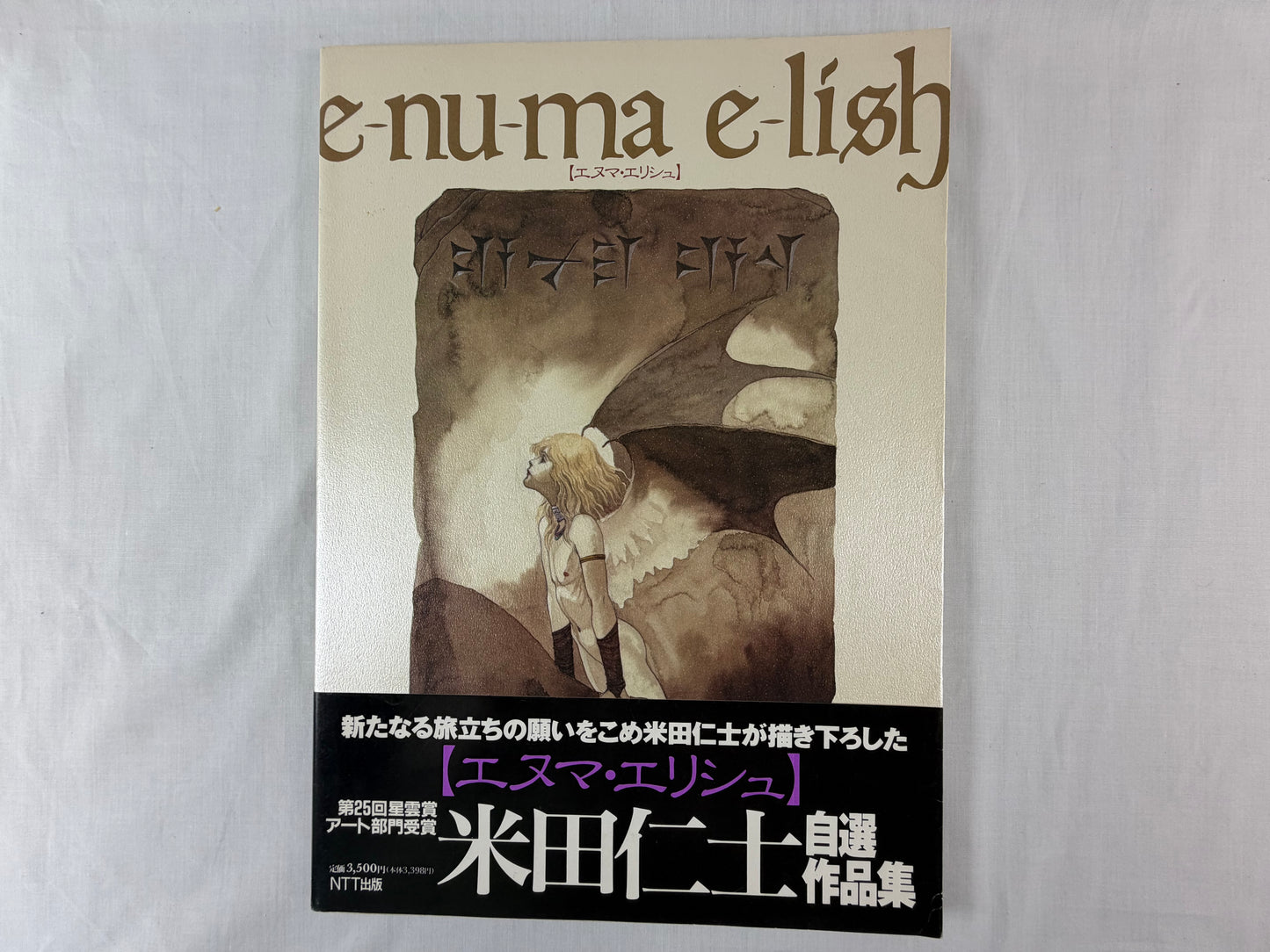 Hitoshi Yoneda Enuma Elish Selected Works 1995 Japan 1st Edition Fantasy Art Book Softcover w/ OBI