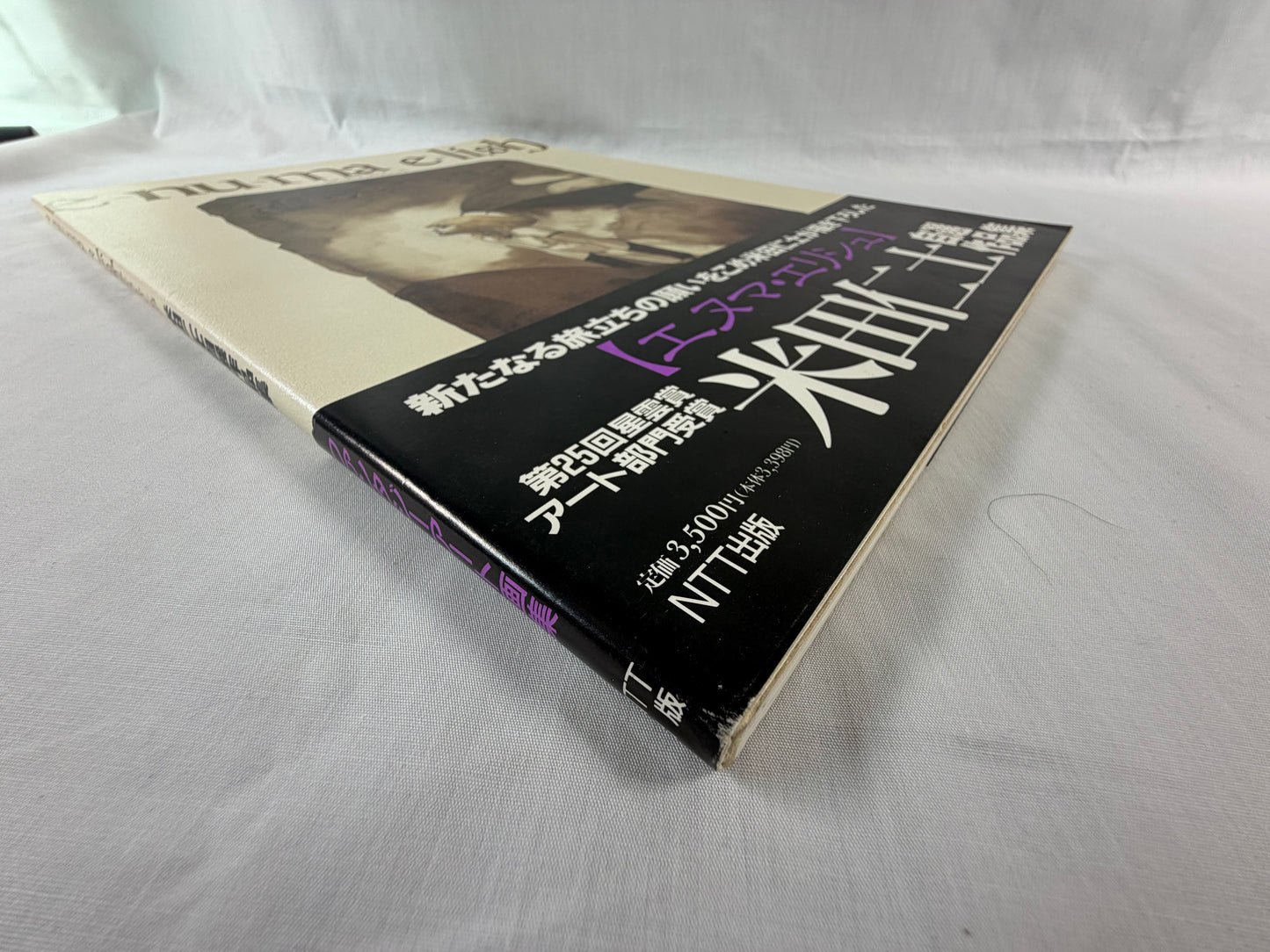 Hitoshi Yoneda Enuma Elish Selected Works 1995 Japan 1st Edition Fantasy Art Book Softcover w/ OBI