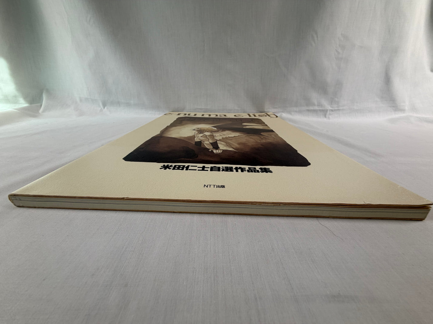 Hitoshi Yoneda Enuma Elish Selected Works 1995 Japan 1st Edition Fantasy Art Book Softcover w/ OBI