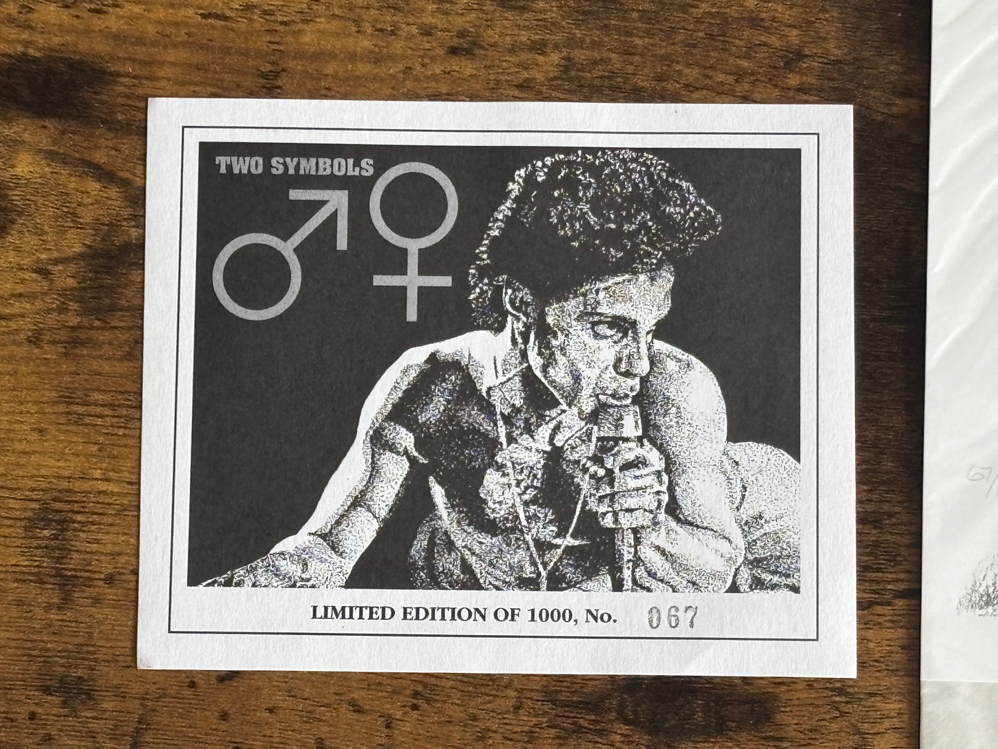 Prince The Symbols Limited Edition 2LP Vinyl Box Set w/ Art Print